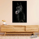 Quadro Cavalo Preto -- Br Artes