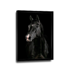 Quadro Cavalo Preto -- Br Artes