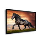 Quadro Cavalo Rei -- Br Artes