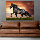 Quadro Cavalo Rei -- Br Artes