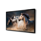 Quadro Cavalos Manada