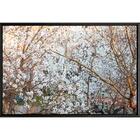 Quadro Cerejeira 90x60 - Casa Da Moldura