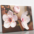 Quadro Cerejeira Okinawa Flores Fotografia Canvas 140x90cm