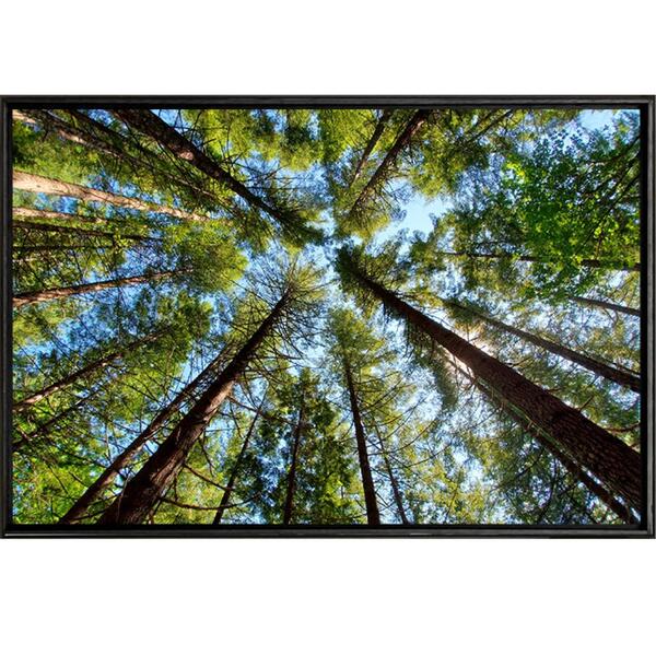 Quadro Céu De Pinheiros 70x50 - Casa Da Moldura