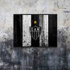 Quadro Clube Atlético Mg Fundo Listrado Vertical 24x18cm Mold