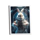 Quadro Coelho Astronauta -- Br Artes