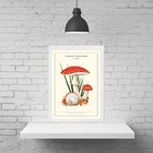 Quadro Cogumelos Vermelhos - Poá 45x34cm - Com Vidro Moldura: