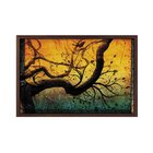 Quadro Com Moldura Árvore