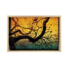 Quadro Com Moldura Árvore