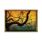 Quadro Com Moldura Árvore