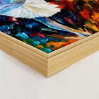 Quadro Com Moldura Bailarina