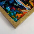 Quadro Com Moldura Bailarina