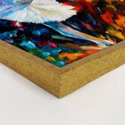 Quadro Com Moldura Bailarina