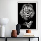 Quadro Com Moldura Branca Leão Elegante Escritório Sala