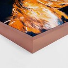 Quadro Com Moldura Brown Horse