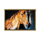 Quadro Com Moldura Brown Horse