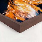 Quadro Com Moldura Brown Horse