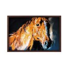 Quadro Com Moldura Brown Horse