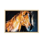 Quadro Com Moldura Brown Horse