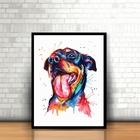 Quadro Com Moldura Cachorro Pintura Tinta Colorido 30x40cm