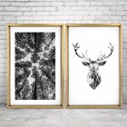 Quadro Com Moldura Chanfrada Amazing