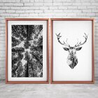 Quadro Com Moldura Chanfrada Amazing