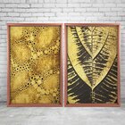 Quadro Com Moldura Chanfrada Antiga