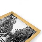 Quadro Com Moldura Chanfrada Bicicleta Antiga