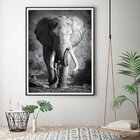 Quadro Com Moldura Chanfrada Elefante