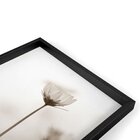 Quadro Com Moldura Chanfrada Flor Classica