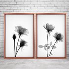 Quadro Com Moldura Chanfrada Flores Preto E Branco