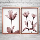 Quadro Com Moldura Chanfrada Flores Rose