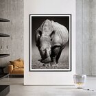 Quadro Com Moldura Chanfrada Rinoceronte