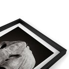 Quadro Com Moldura Chanfrada Rinoceronte