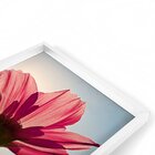 Quadro Com Moldura Chanfrada Rosa