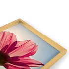Quadro Com Moldura Chanfrada Rosa