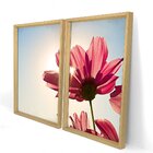 Quadro Com Moldura Chanfrada Rosa