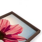 Quadro Com Moldura Chanfrada Rosa