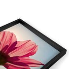 Quadro Com Moldura Chanfrada Rosa