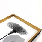 Quadro Com Moldura Chanfrada Sombra Flores