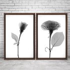 Quadro Com Moldura Chanfrada Sombra Flores