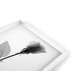 Quadro Com Moldura Chanfrada Sombra Flores