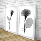 Quadro Com Moldura Chanfrada Sombra Flores