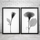 Quadro Com Moldura Chanfrada Sombra Flores