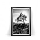 Quadro Com Moldura Chanfrada Spring Landscape