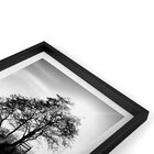 Quadro Com Moldura Chanfrada Spring Landscape