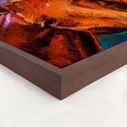 Quadro Com Moldura Horses