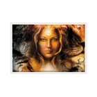 Quadro Com Moldura Lady Of Creation