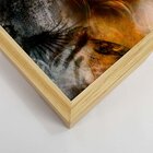 Quadro Com Moldura Lady Of Creation