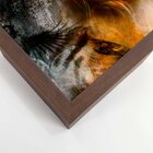 Quadro Com Moldura Lady Of Creation